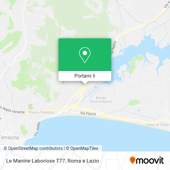 Mappa Le Manine Laboriose T77