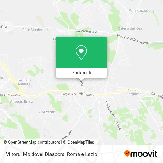 Mappa Viitorul Moldovei Diaspora