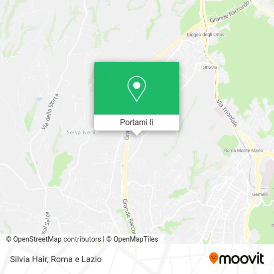Mappa Silvia Hair