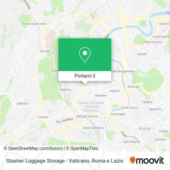 Mappa Stasher Luggage Storage - Vaticano