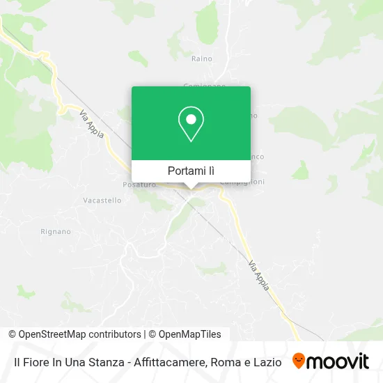 Mappa Il Fiore In Una Stanza - Affittacamere