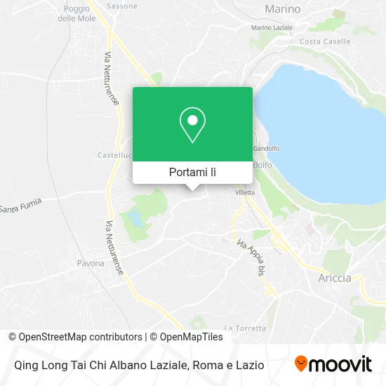 Mappa Qing Long Tai Chi Albano Laziale