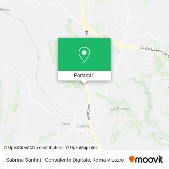 Mappa Sabrina Santini - Consulente Digitale