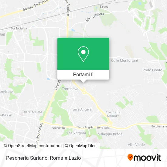 Mappa Pescheria Suriano