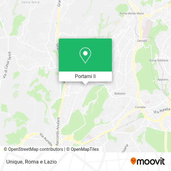 Mappa Unique