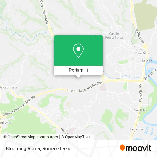 Mappa Blooming Roma