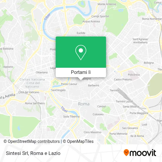 Mappa Sintesi Srl