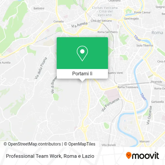 Mappa Professional Team Work