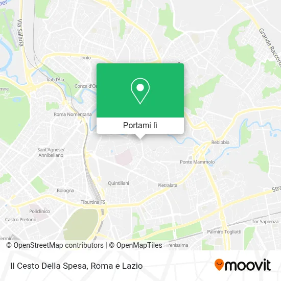 Mappa Il Cesto Della Spesa