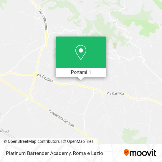 Mappa Platinum Bartender Academy