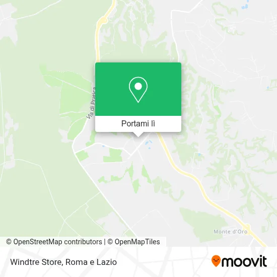 Mappa Windtre Store