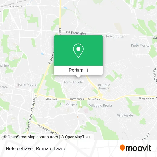 Mappa Nelsoletravel