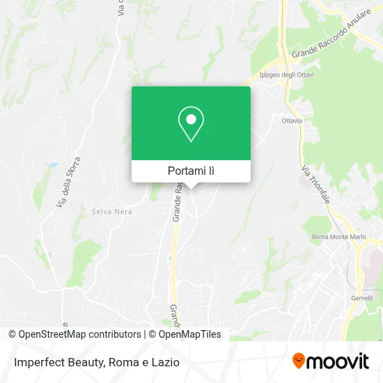 Mappa Imperfect Beauty