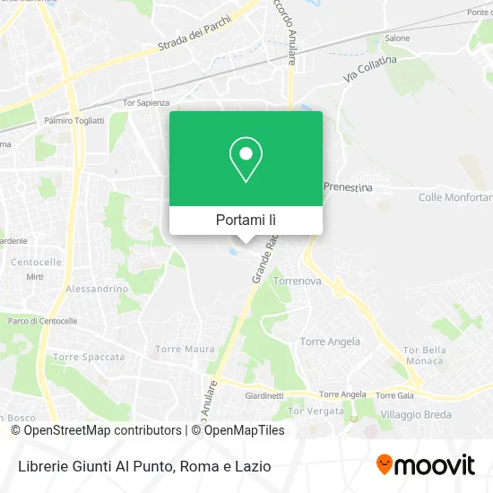 Mappa Librerie Giunti Al Punto