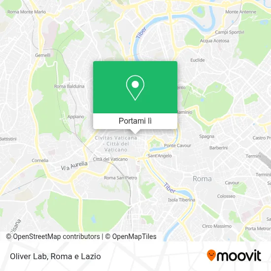 Mappa Oliver Lab