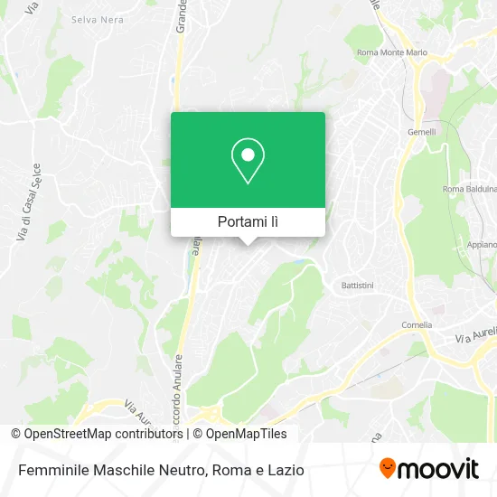 Mappa Femminile Maschile Neutro