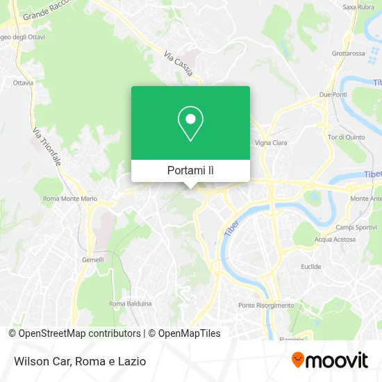 Mappa Wilson Car