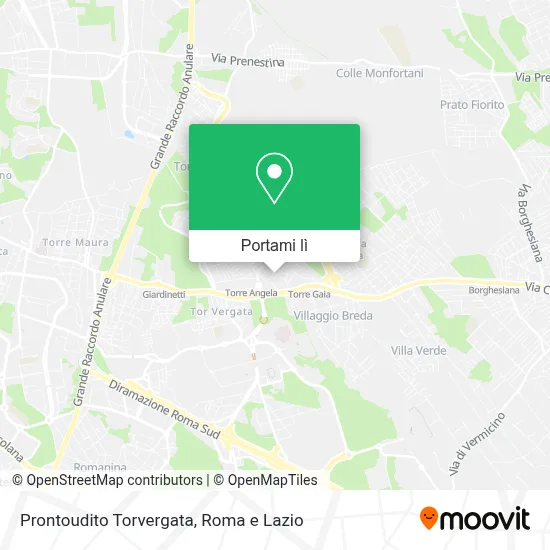 Mappa Prontoudito Torvergata