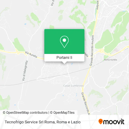 Mappa Tecnofrigo Service Srl Roma