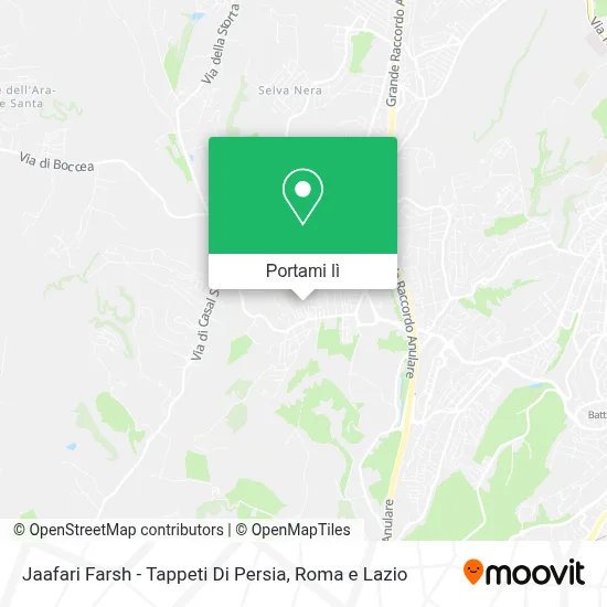 Mappa Jaafari Farsh - Tappeti Di Persia