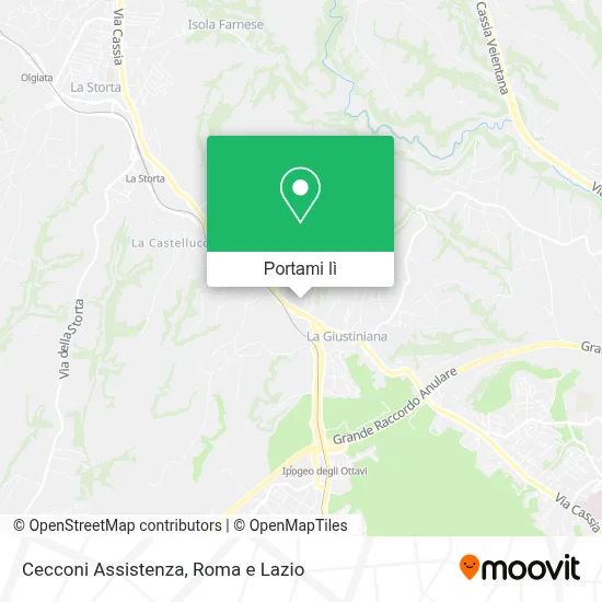 Mappa Cecconi Assistenza