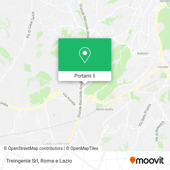 Mappa Treingenia Srl