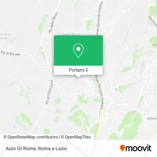 Mappa Auto Gt Roma