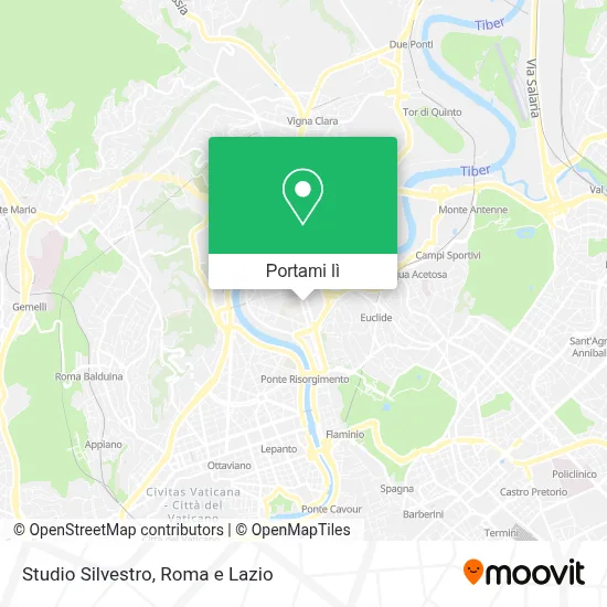 Mappa Studio Silvestro