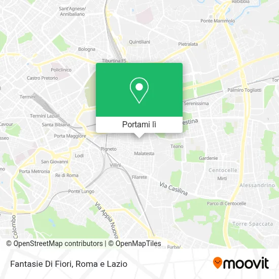 Mappa Fantasie Di Fiori