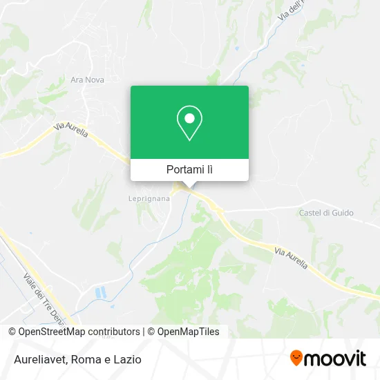 Mappa Aureliavet