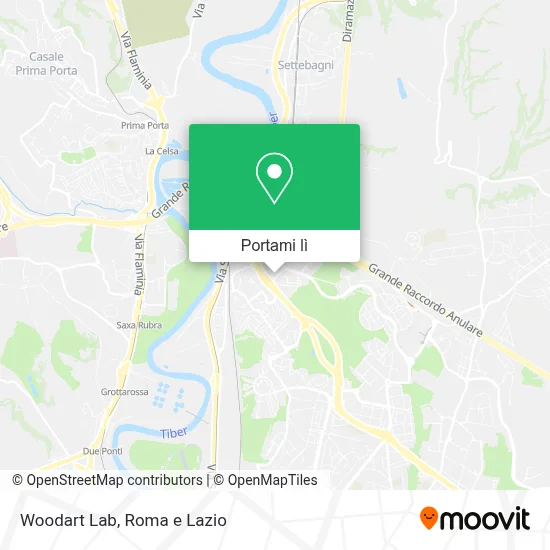 Mappa Woodart Lab