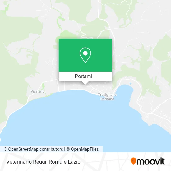 Mappa Veterinario Reggi