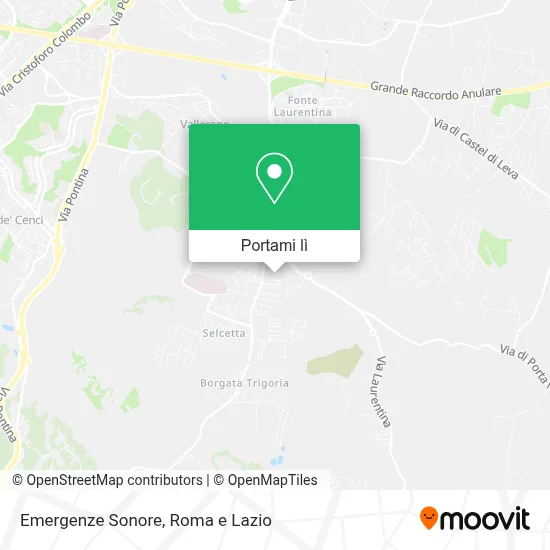 Mappa Emergenze Sonore