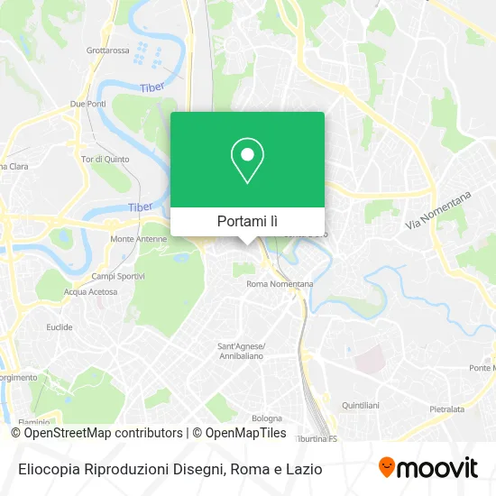 Mappa Eliocopia Riproduzioni Disegni