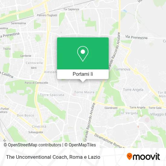 Mappa The Unconventional Coach