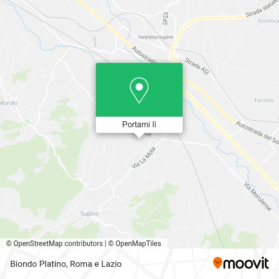 Mappa Biondo Platino