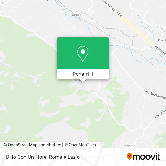 Mappa Dillo Con Un Fiore