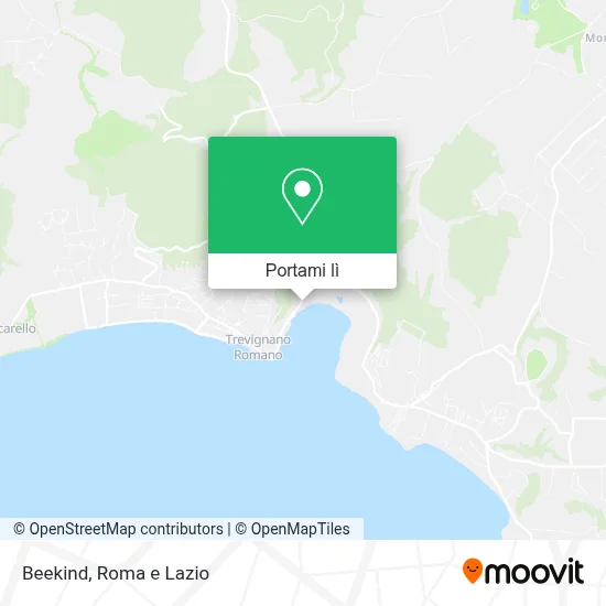 Mappa Beekind