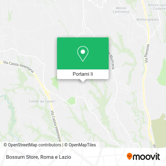 Mappa Bossum Store