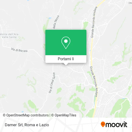 Mappa Damer Srl