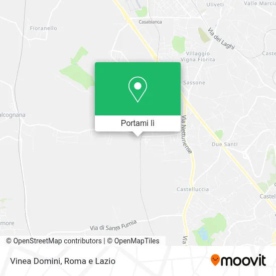 Mappa Vinea Domini