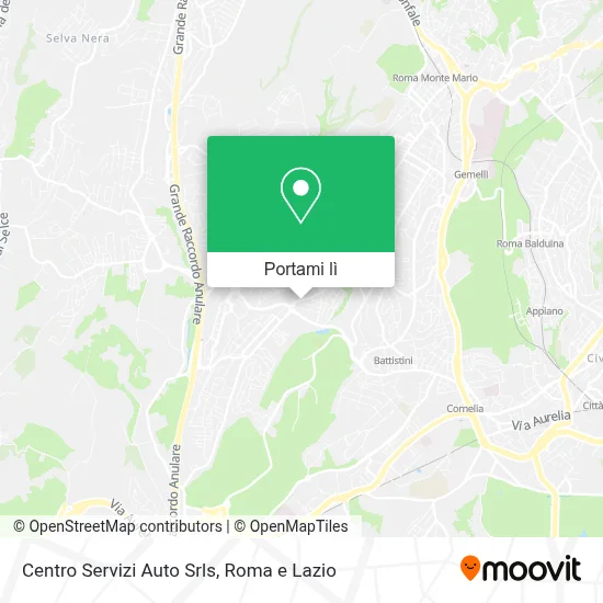 Mappa Centro Servizi Auto Srls
