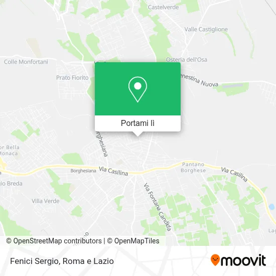 Mappa Fenici Sergio
