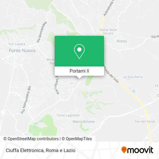 Mappa Ciuffa Elettronica