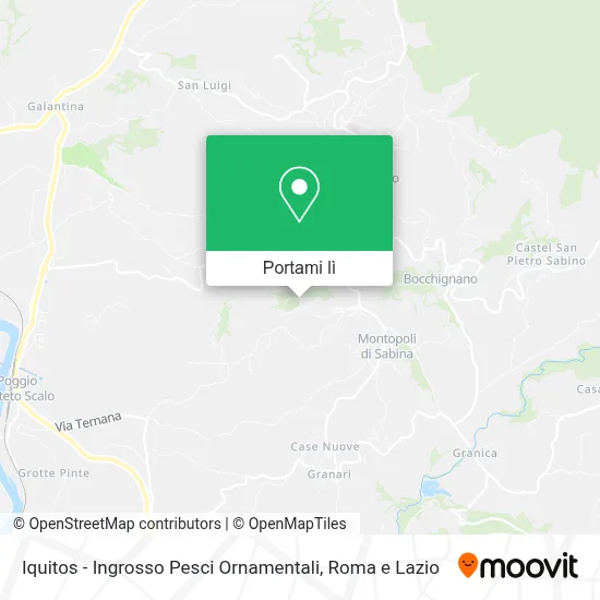 Mappa Iquitos - Ingrosso Pesci Ornamentali