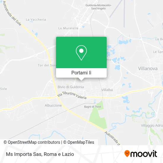 Mappa Ms Importa Sas
