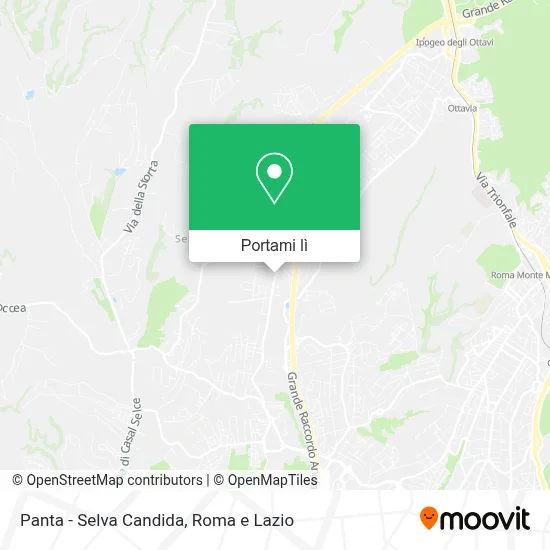 Mappa Panta - Selva Candida