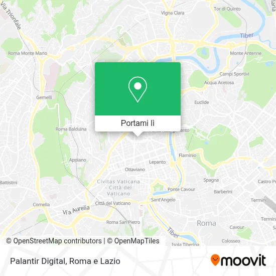 Mappa Palantir Digital