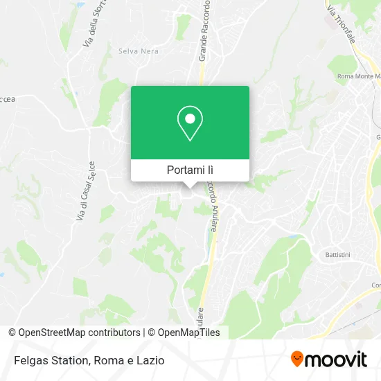 Mappa Felgas Station