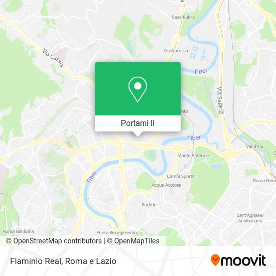 Mappa Flaminio Real